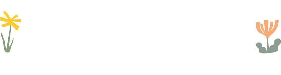 Vision Ventilla Logo